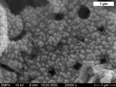 https://3s17.empa.ch/documents/20659/66477/Picture+Nanoparticles+and+Nanocomposites+Ceramics+bacteria+small.png/53adcae7-71af-4e18-a9a2-ffefe52b8597?t=1447760036000